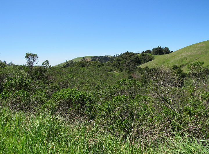 Santa Cruz Mountains